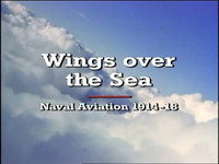 Wings Over the Sea