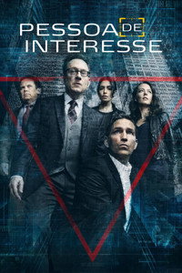 Pessoa de Interesse S05E13