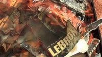 «Losing LeBron (2013)» — обои к фильму #2