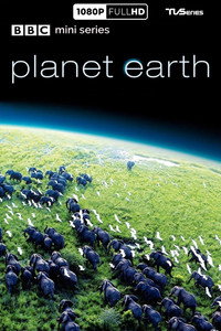 Planet Earth poster
