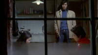 «Красный фонарь (1974)» — обои к фильму #6