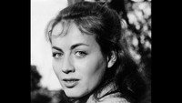 «Сезон охоты на лисиц закрыт (1966)» — обои к фильму #1