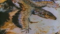«The Case of the Flying Dinosaur (1990)» — обои к фильму #1