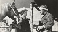 «Last of the Pony Riders (1953)» — обои к фильму #2