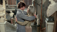 «Лисица с бархатным хвостом (1971)» — обои к фильму #2