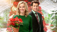 «Hearts of Christmas (2016)» — обои к фильму #8