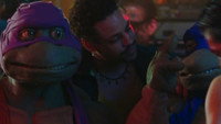 Turtles' Night Out