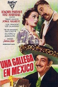 Poster de Una gallega en México