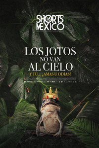 Постер к фильму Los jotos no van al cielo (2021)