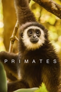copertina serie tv Primates 2020