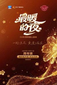河北卫视“最暖的夜”2026跨年爱心盛典