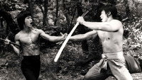 «Правда о фильме «Игра смерти» (1979)» — обои к фильму #1