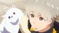 The Pathetic Puppy Plan?!
