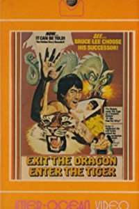 Постер фильма «Уходит дракон, появляется тигр (1976)» — (7 из 12)