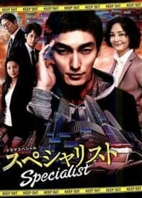 スペシャリスト (2013)