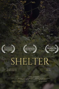 Shelter subtitle poster
