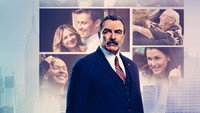 «Голубая кровь (2010 - 2024)» — обои к сериалу #1