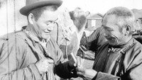 «Зять (1970)» — обои к фильму #1