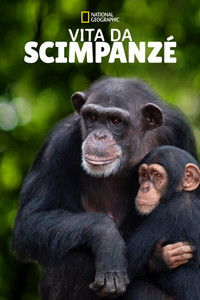 copertina serie tv Meet+the+Chimps 2020