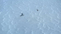 Обои к фильму «Звёздные войны: Эпизод 5 – Империя наносит ответный удар (1980)» — (80 из 457)
