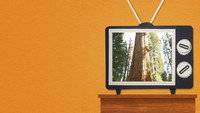 «Nature Boom Time! (2016)» — обои к сериалу #2
