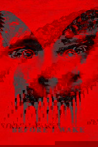 Before I Wake