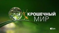 «Крошечный мир (2020)» — обои к сериалу #9