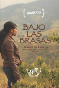 Постер фильма «Bajo las brasas (2015)» — (1 из 1)