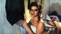 «Проститутка из публичного дома имеет все права по закону (1971)» — обои к фильму #1