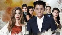 «Закрытая школа (2011-2012)» — обои к сериалу #3