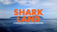 «Shark Land: Welcome to Cocos Island (2015)» — обои к фильму #1