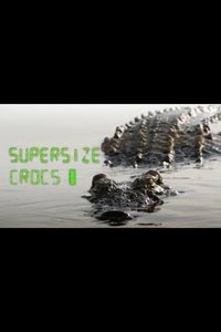 Poster de Supersize Crocs - Finding the World's Largest Crocodiles