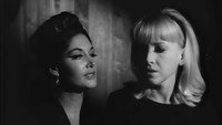 «The Sex Cycle (1967)» — обои к фильму #1