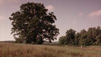 The Shawshank Redemption
