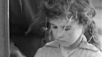 «Босой батальон (1953)» — обои к фильму #1