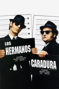 Poster de Los Hermanos Caradura