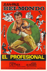 Poster de El profesional