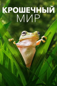 Постер сериала «Крошечный мир (2020)» — (9 из 25)