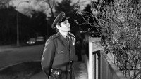 «Zlodejská komedie (1978)» — обои к фильму #2