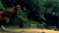 Chicken park