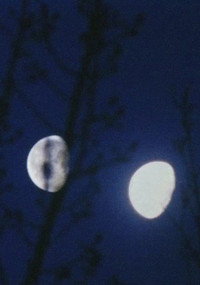 Постер фильма «Lunar Almanac (2014)» — (2 из 2)
