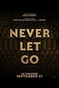 Poster de Never Let Go