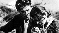 «Под фригийской звездой (1954)» — обои к фильму #7