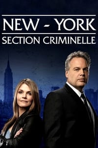 New York : Section criminelle (2001)