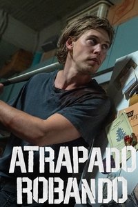 Poster de Atrapado robando