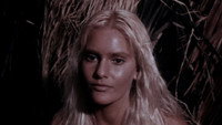 «Приключения в последнем раю (1982)» — обои к фильму #2