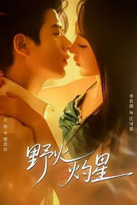 Poster de 野火灼星