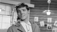 Обои к фильму «Друзья и соседи (1959)» — (11 из 12)