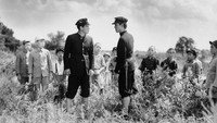 «Звезда спорта (1937)» — обои к фильму #1