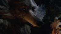 Обои к фильму «Ma famille et le loup (2019)» — (11 из 16)